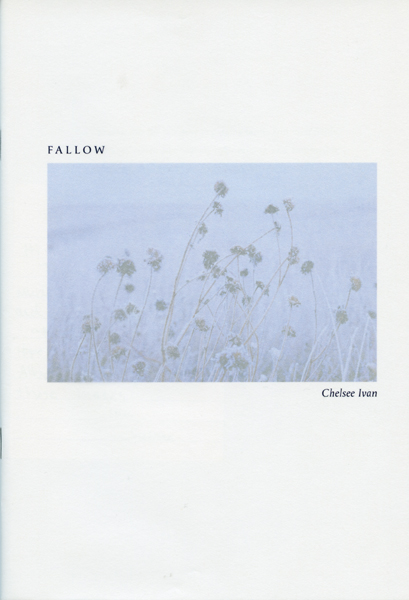 Fallow – Chelsee Ivan