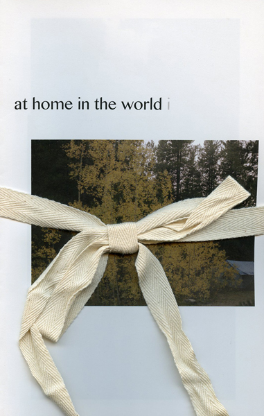 At Home in the World i-v – Vera Benschop